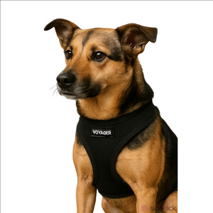Voyager size Medium pet harness